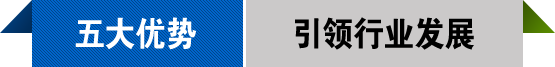 五大優(yōu)勢(shì)